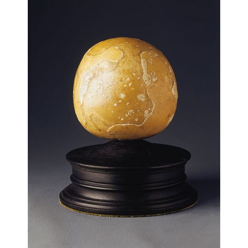 A Very Rare and large Bezoar stone , probably from an Elephant